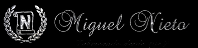 Miguel Nieto